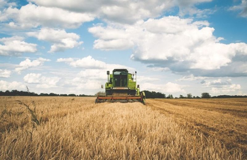 settore-agricolo-agenzia-entrate