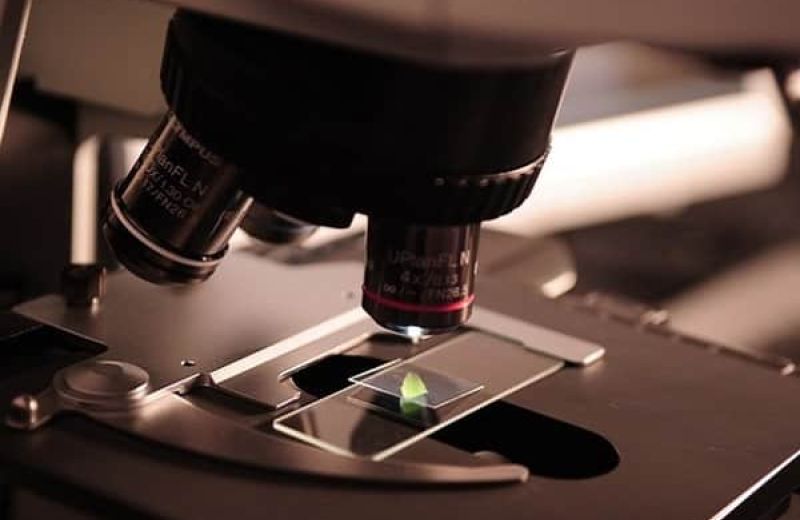 laboratorio-ricerca-voucher-bando